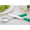 ANNOVA Silverware Set 20 Pieces Stainless Steel Color Handle With