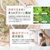 【HEMPS】 オーガニックプロテイン ヘンプ&抹茶 250g ｜ 甘さ控えめ 有機JAS 100％ オーガニック ｜