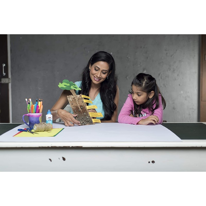 Fevicol Mr Squeeze Bottle, 200 Grams