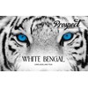 Prospect Tea Co. White Bengal Darjeeling Tea Pods Compatible with