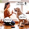 Record Talking Button Easy Button Recording Voice Button Funny OfficeToys