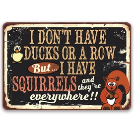 I Don't Have Ducks or a Row But I Have Squirrels - Classic Patio Decoration Outdoor Wall Art and Backyard Display, Animal Lover or Nature Enthusiast Gift, 8x12 Indoor/Outdoor Durable Metal Sign