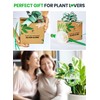 3pcs 16 Oz Plant Watering Globes for Indoor Plants with