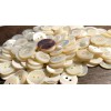 Unbranded 6 Fabulous Iridescent Cream Trocas Shell MOP Buttons 15mm