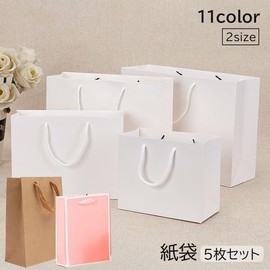 Plus Nao Paper Bag, Set of 5, Handbag, Solid Color, Vertical, Horizontal, Wrapping, Present, Events, Weddings, Favors, Color Variations, Black
