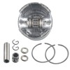 KANECJDL 50mm Engine Motor Cylinder Piston Pin Set For 100cc