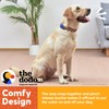 The Dodo Cork Dog Collar, Stripe, Size Large; Cork Material