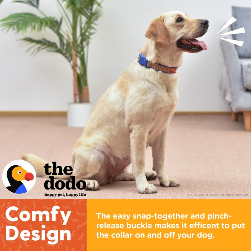 The Dodo Cork Dog Collar, Stripe, Size Large; Cork Material