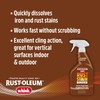 Rust-Oleum Whink 349944 Foaming Rust Stain Remover Spray, 24 oz