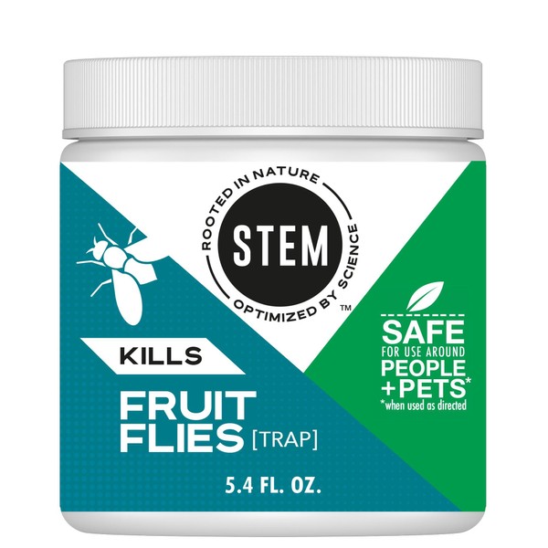 STEM Stem Kills Fruit Fly Trap: Fruit Fly Catcher With