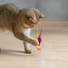 Creative Feather Elastic Balls for Cats - Kitten Rolling Ball