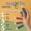 Lizard Lips USDA Certified Organic Lip Balm (Citrus)