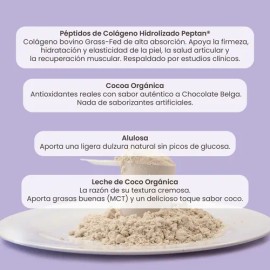 Collagein Colageno Hidrolizado You Matter Smart Nutrients                                                                                             
