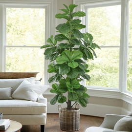 Roselywed Artificial Fiddle Leaf Fig Tree 6FT with Thick 148 Leaves Tall Large Fake Faux Tropical Ficus Lyrata Potted Plant 70 Inch Black Pot for Indoor Home Office Porch Mall Decor Housewarming Gift