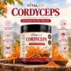 Hongo Cordyceps - Extracto Puro en Polvo 100 g -