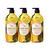 Happy Bath Real Garden Yuzu Vitamin Vitality Body Wash / 해피바스 리얼 가든 유자 비타민 생기 바디워시