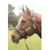 Tack Shack of Ocala Leather Halter with Customized Engraved Name