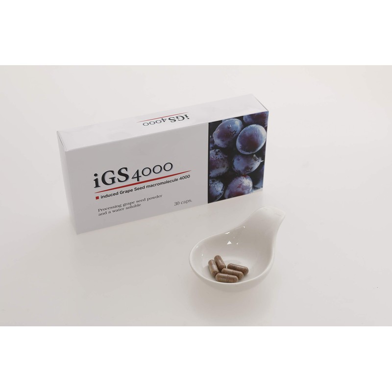 iGS4000