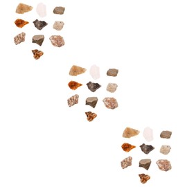 iplusmile 30pcs Irregular Natural Rock Specimens for Display Desktop Decor for Geology Enthusiasts Education and Portable Lightweight Geology Teaching Tools