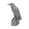 Nemesis Now Ravens Rest Figurine 20cm Black