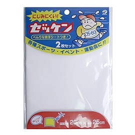 Pioneer nuituke The G516 – 50006 