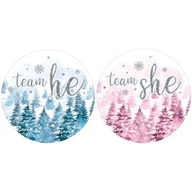 Baby It's Cold Outside Baby Gender Reveal Party, Snowy Winter Evergreen Trees Team He or Team She Stickers - 40 Count