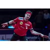 Butterfly Timo Boll Platinum Table Tennis Bat - ITTF Approved,