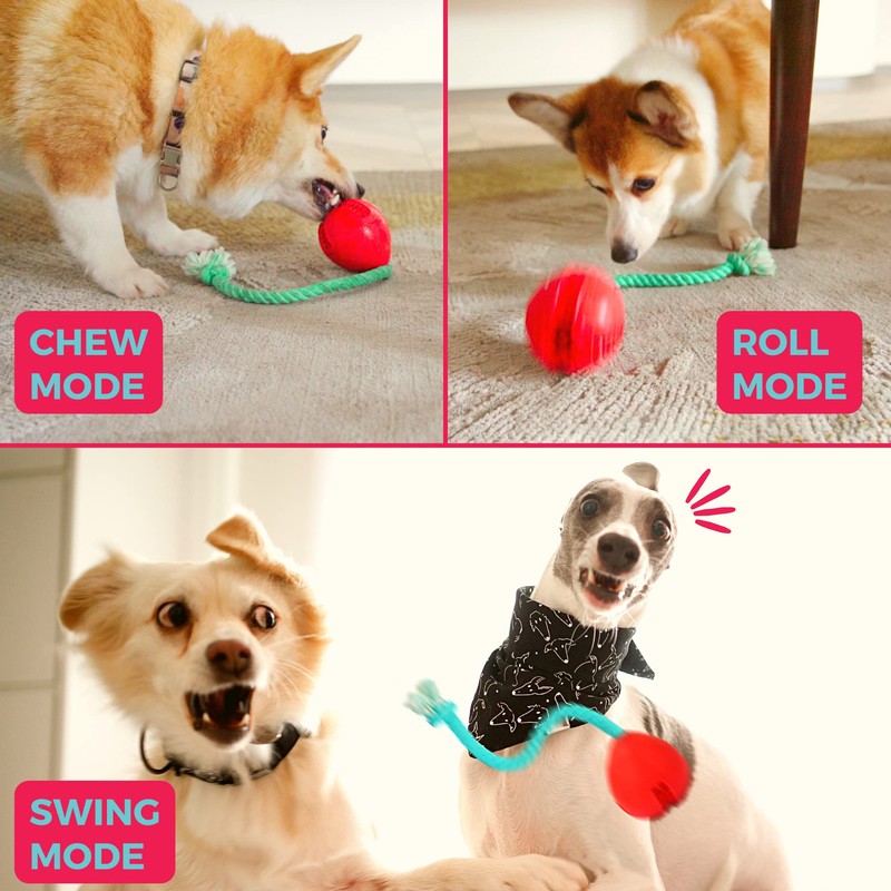 Fossa Interactive Dog Toys, Crate Training Aids for Puppies, Puzzle