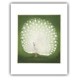 The Ibis - Ohara Koson : ''Peacock'' (1925-1936) - Museum-Grade Giclee