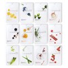 Eunyul mask pack sheet, 1 pack per day, 12 types