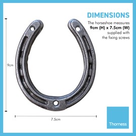 Decorative Cast Iron Horseshoe | cast iron decorative wall door decor | Wedding Arts and Craft | Fixing screws included | 9cm (h) x 7.5cm (w) | Horse shoe good luck charm