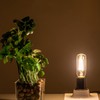 T6 LED Bulb 25watt E12 Modern Chandelier Bulbs E12 LED