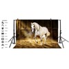 LFEEY 10x8ft Western Photography Backdrops Countryside West Cowboy Horse in