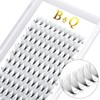 B&Q Ready-to-Use Fan Eyelashes, 12D-C-0.05-9-15 Mix, Pointed Base, Eyelash Extensions,