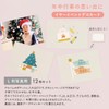 Iroha Publishing Large Album Series L-GAL-CY-02 for L-format Photo [Year