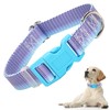 Boy Dog Collar for Small Dogs, Cute Blue Dog Collar