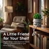 Fake Plant with Gray Flower Pot Artificial Succulents Plant for