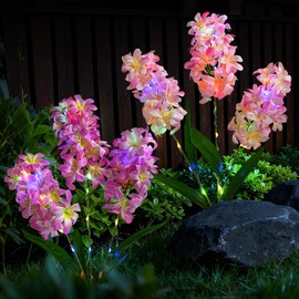 TANSOREN 2 Pack Solar Garden Lights Outdoor, Colorful LED Waterproof Solar Powered Hyacinth Flowers Landscape Lights for Outside Yard, Patio, Pathway Decorative, Décor, Gifts, Two Lighting Modes