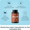 Ancient Nutrition Organ Supplements by Ancient Nutrition, Grass-Fed and Wild