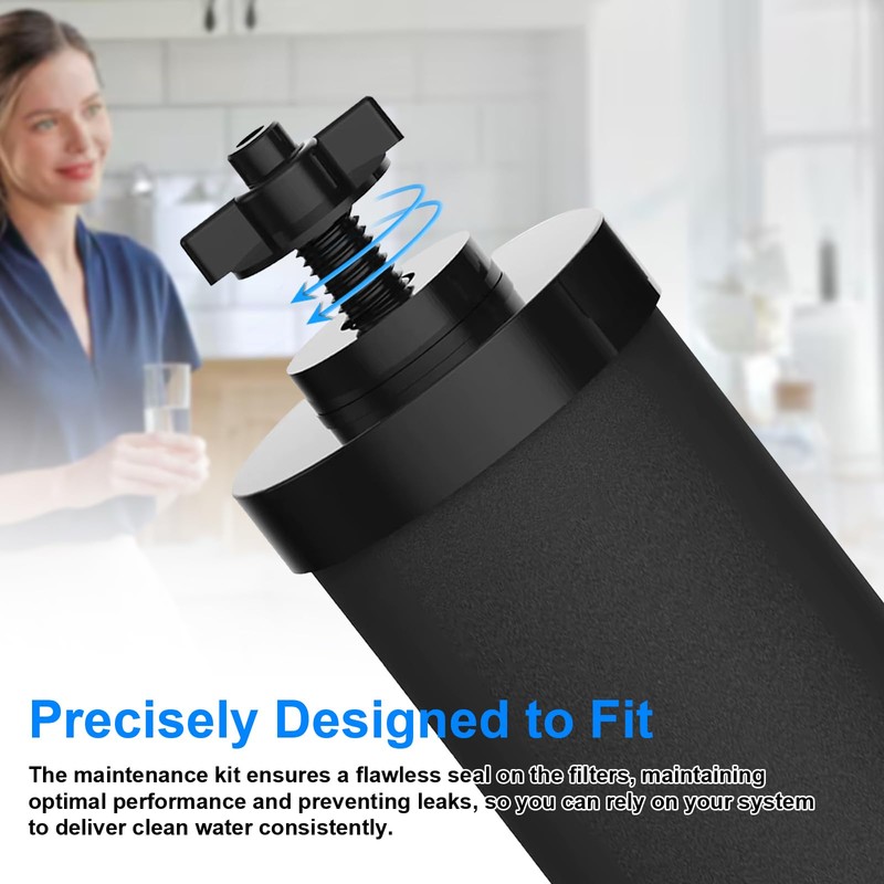 Replacement Kit for Berkey Water Filter System Elements - 4
