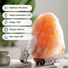 Parts Express Himalayan Salt Lamp Bulbs Original Salt Lamp, 6Pack