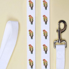 'Colourful Budgie' Dog Lead/Leash (DL00020658)