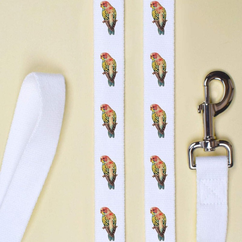'Colourful Budgie' Dog Lead/Leash (DL00020658)