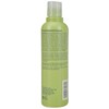 Aveda Be Curly Shampoo, 8.5-Ounce Bottle