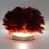 Feather Table Lamp Stepless Dimming USB Charging Touch Control LED