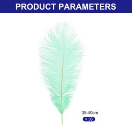 PATIKIL 30 Pcs Natural Ostrich Feathers Bulk 14-16 Inch/ 35-40 cm Large Ostrich Feathers for Crafts Home Decoration Wedding Party Vase Decor(Mint Green)