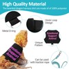 Bearded Dragon Lizards Clothes with Leash Set - Cute Lizard
