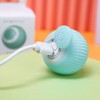 Interactive Cat Toys Balls USB Rechargeable Pet Toy Automatic Cat