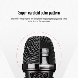 TAKSTAR Handheld Singing Microphone, Vocal Super-Cardioid Dynamic Mic with Steel Mesh Grille, Anti-Vibration Capsule Head, Karaoke Microphone for Studio, Singings, Karaoke, PA System, Stage - TA60