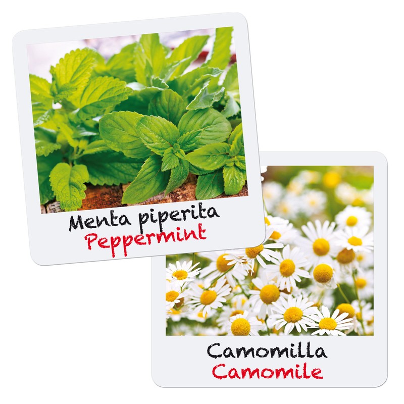 Beluga Toys, natural